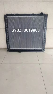 Authentischer Wasser-Behälter-Heizkörper BZ13019803 Xuande-Flügel-3
